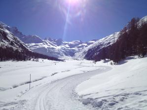 Blick zum Roseggletscher